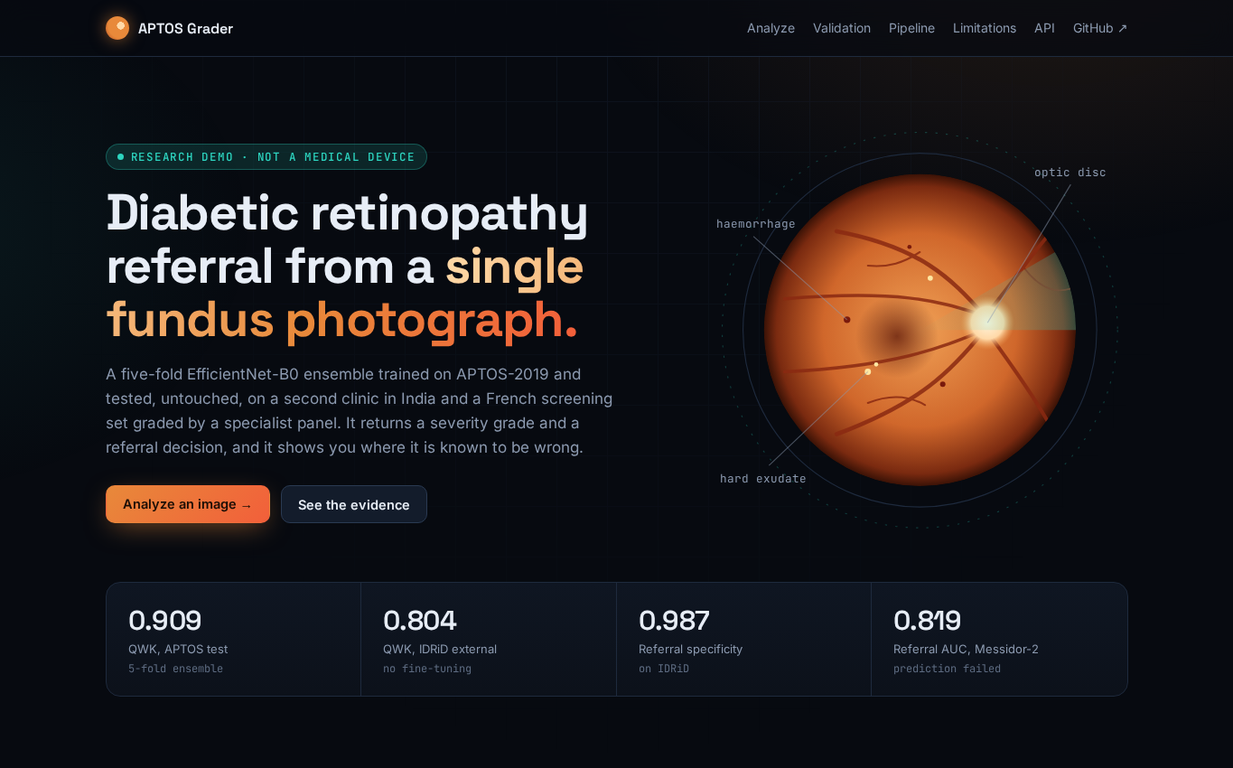 Diabetic Retinopathy Grading (APTOS-2019) public demo captured 2026-10-12